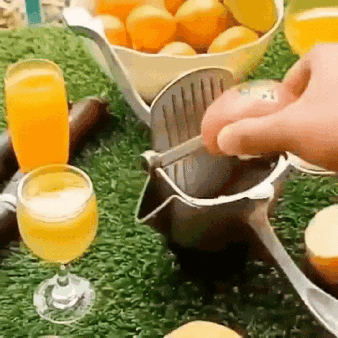 EXPRIMIDOR DE FRUTAS PREMIUM