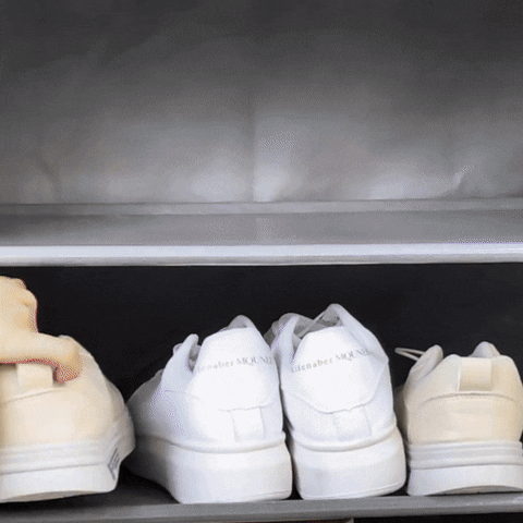 ORGANIZADOR DE ZAPATOS DE 9 NIVELES