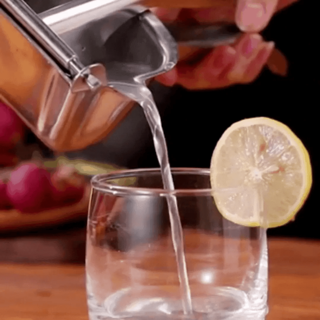 EXPRIMIDOR DE FRUTAS PREMIUM