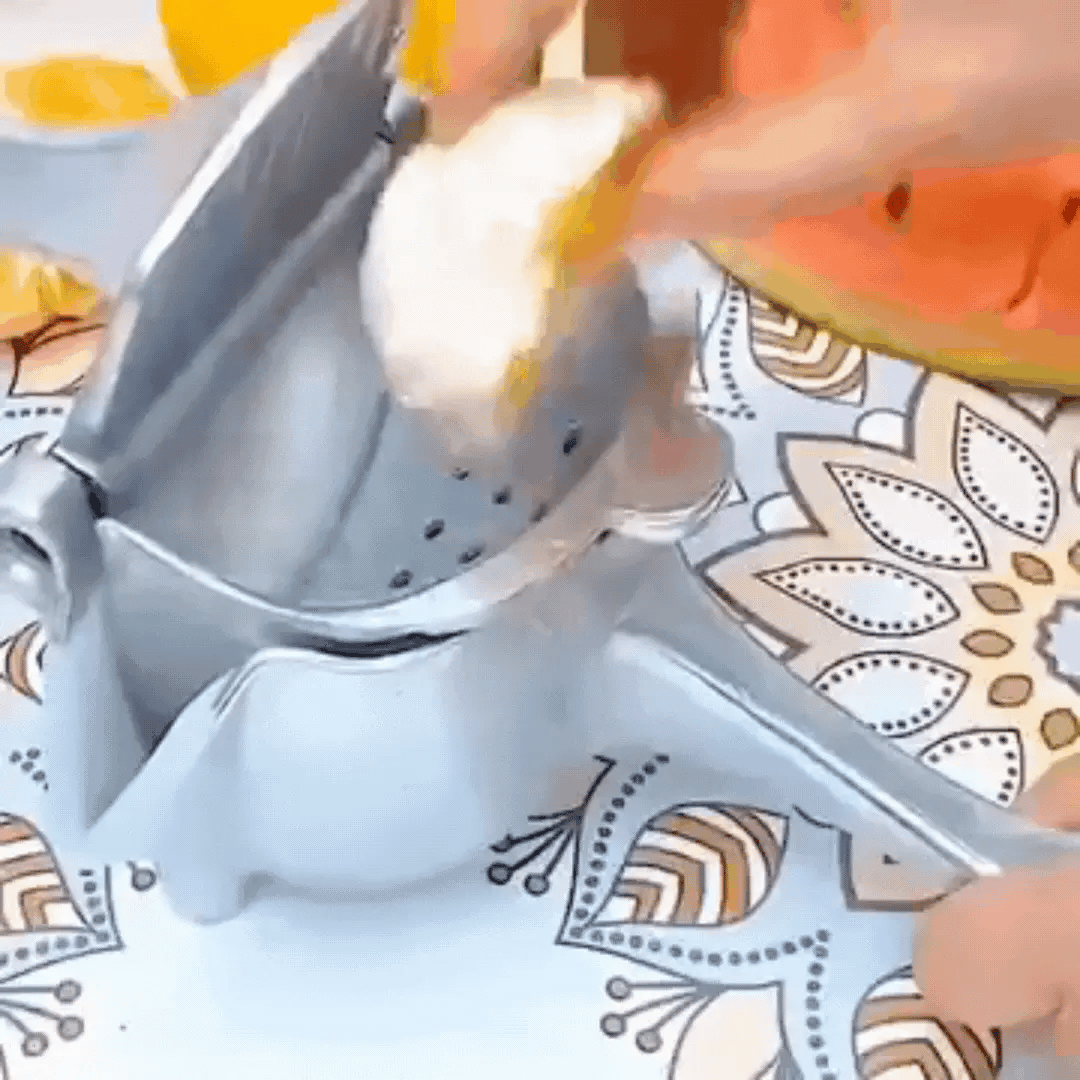 EXPRIMIDOR DE FRUTAS PREMIUM