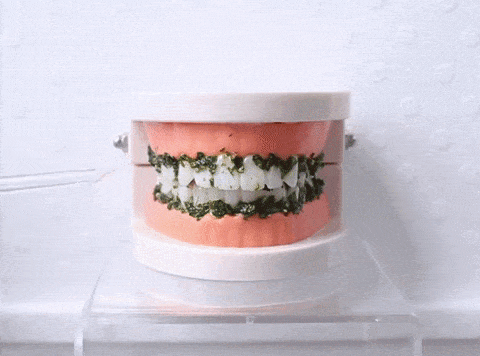 AquaSmile™ | Irrigador Bucal Recargable Limpieza Dental Profunda