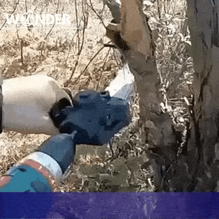 Transforma Tu Taladro en Motosierra